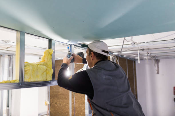 Best Soundproof Insulation Installation  in Liverpool, NY